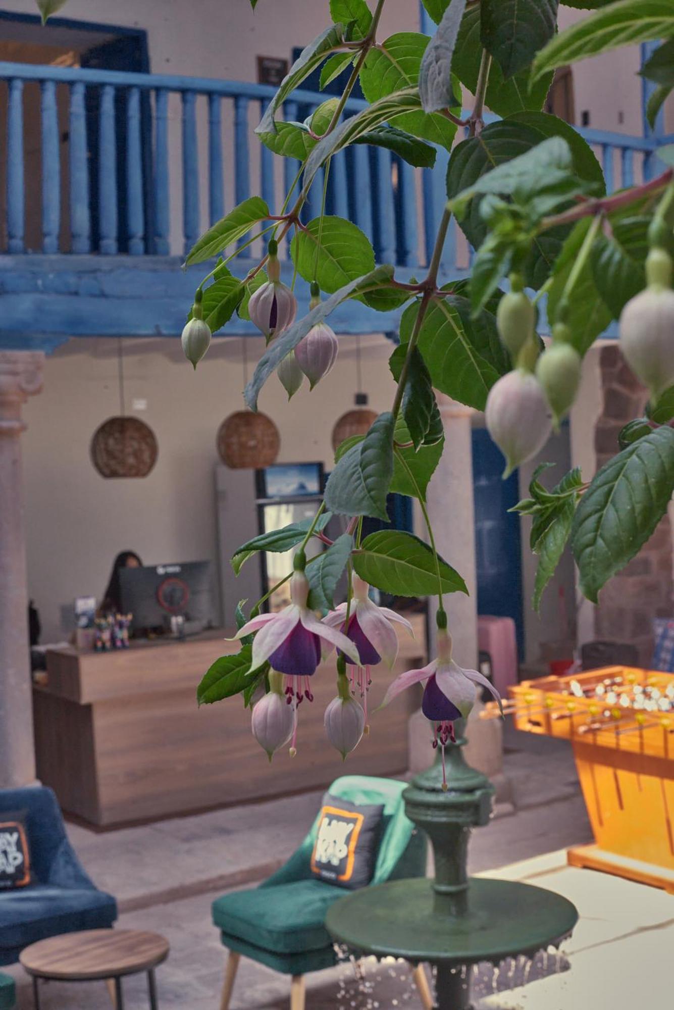 Way Kap Hostel กุสโก ภายนอก รูปภาพ